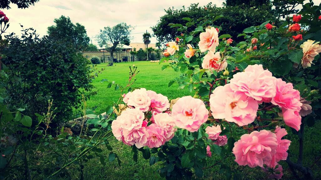Villa Elegance Ladispoli Kültér fotó