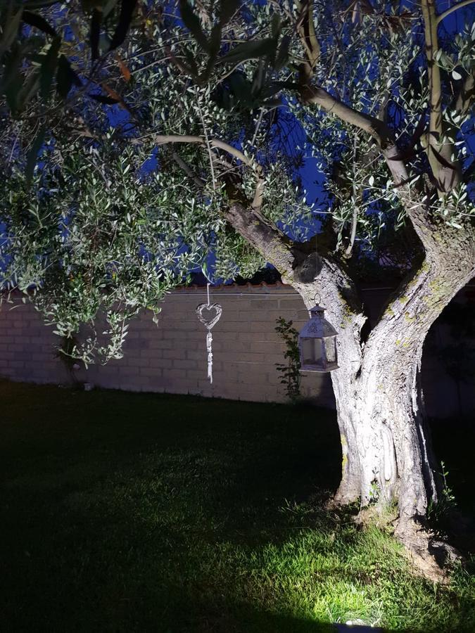 Villa Elegance Ladispoli Kültér fotó