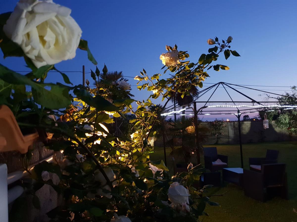 Villa Elegance Ladispoli Kültér fotó